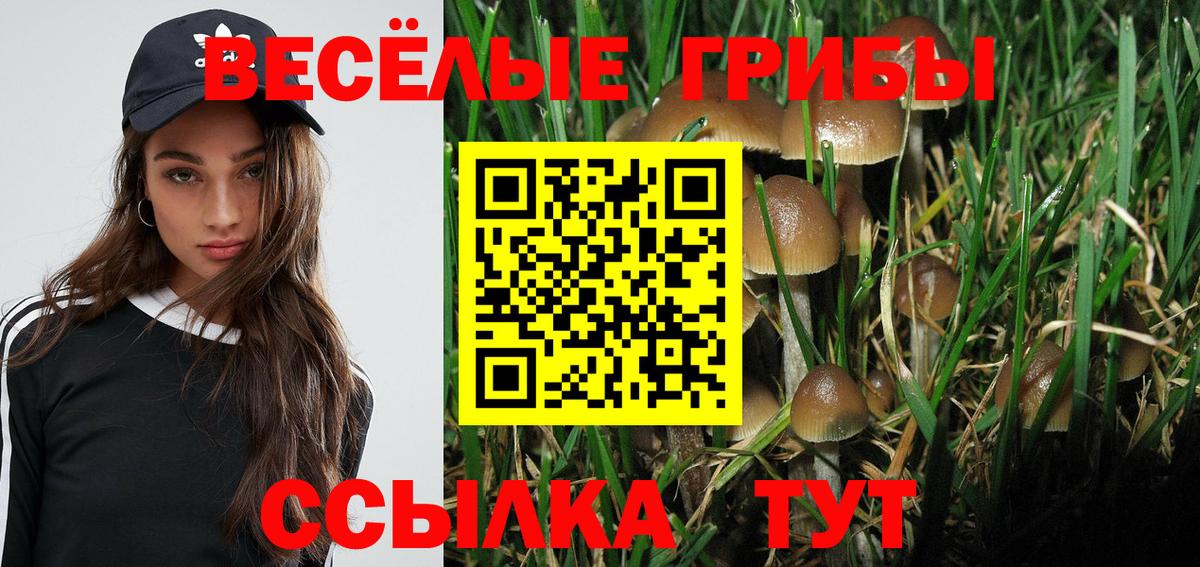 Псилоцибиновые грибы Psilocybine cubensis  Вход с VPN  Псилоцибиновые грибы Magic Shrooms  цена   Междуреченск 